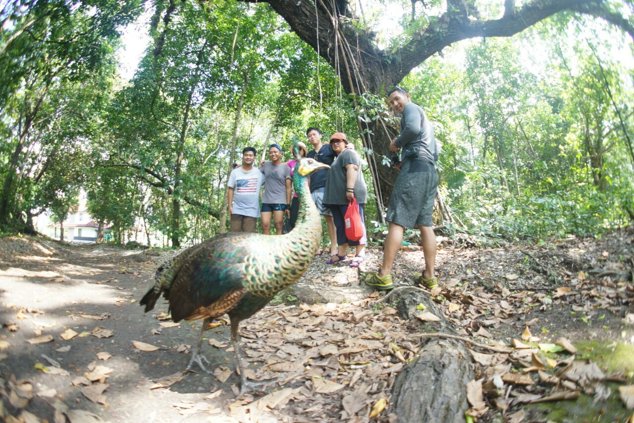 Beranjangsana ke Taman Nasional Ujung Kulon