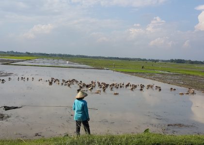 Materialisme: Opo Kowe Siap Mlarat?