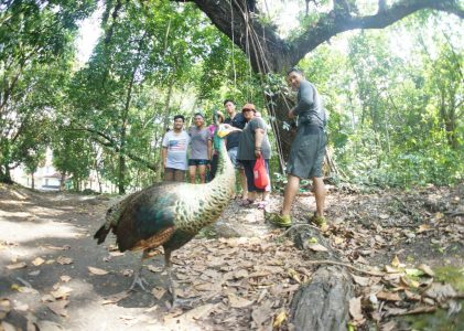 Geo-Tour 2016: Menikmati Keindahan Laut Taman Nasional Ujung Kulon