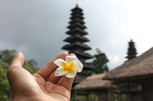 To Call Bali “Home”