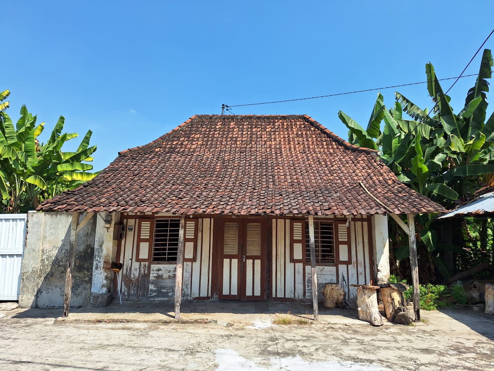 Bi Saidah Kembali